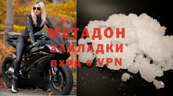 прущие грибы Надым