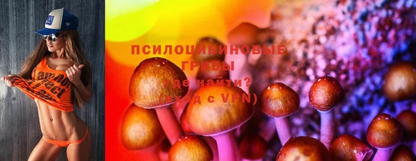 PSILOCYBIN Нея
