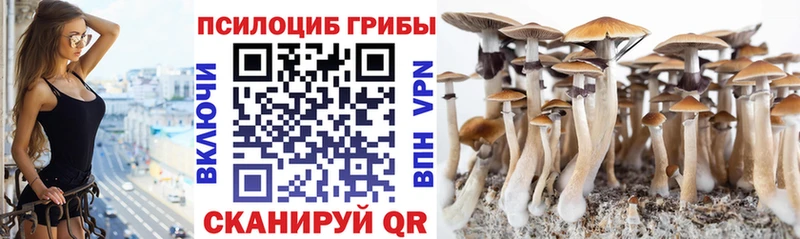 Галлюциногенные грибы прущие грибы  цены   Новоуральск 
