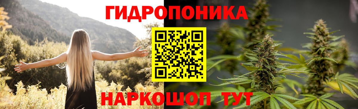 МАРИХУАНА конопля Новоуральск